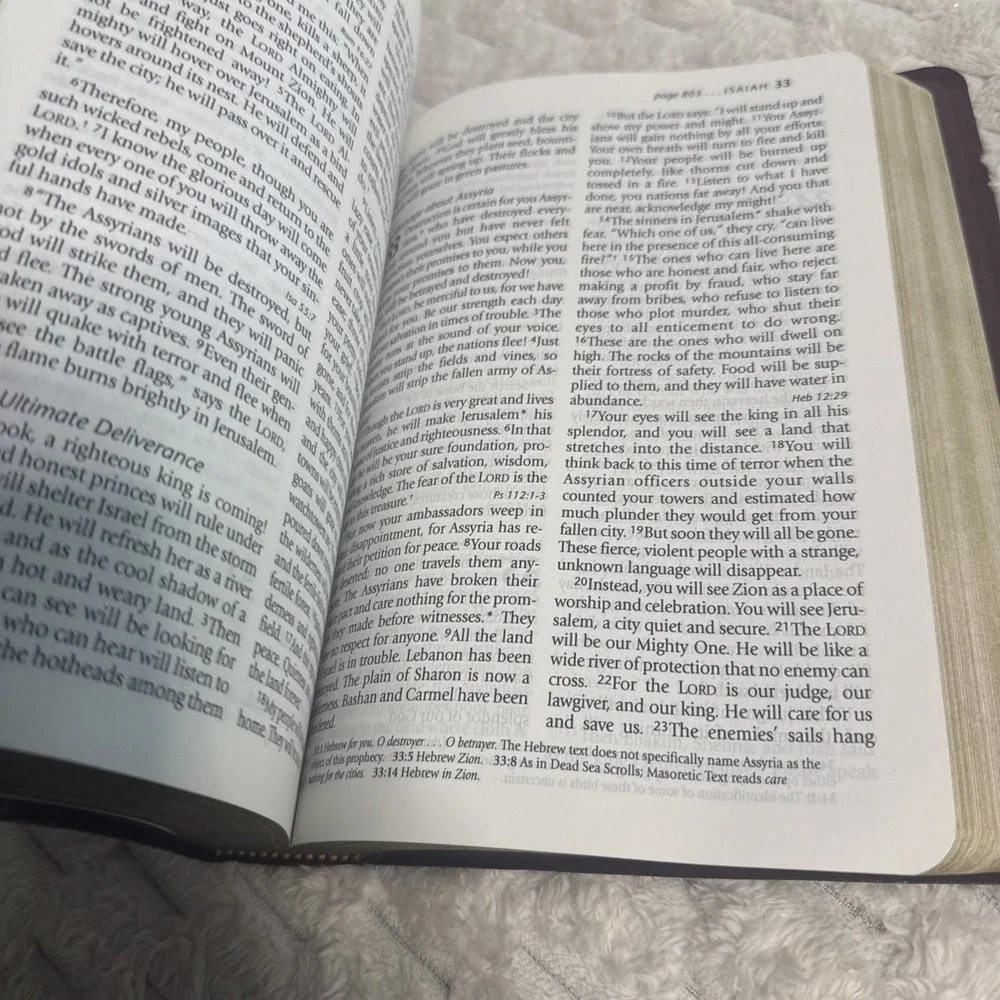 Holy Bible New Living Tyndale Red Letter Verse Finder Large Print Burgundy 1996